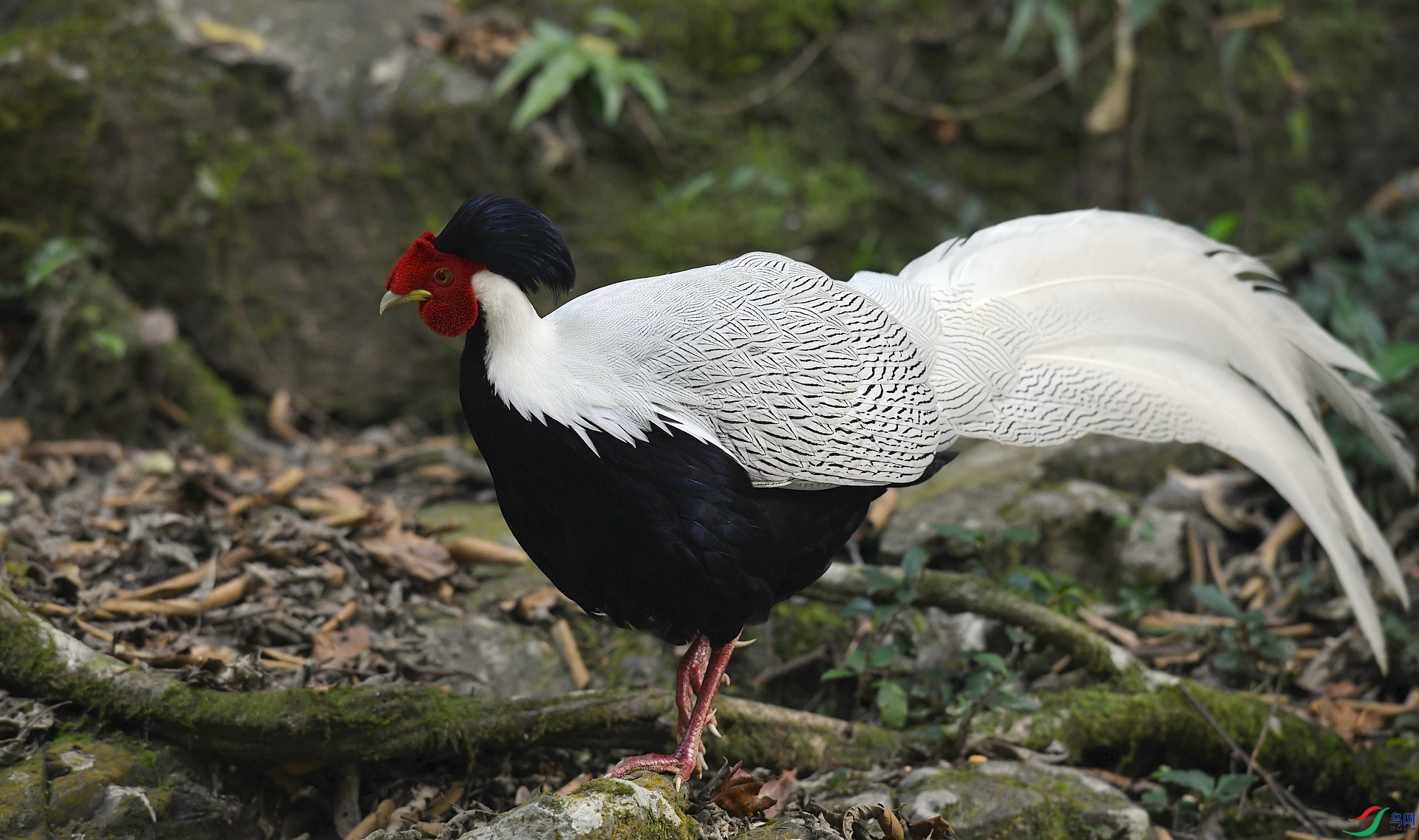 DSC_5577.jpg