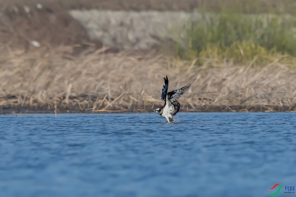 A63I7040 ����1.jpg