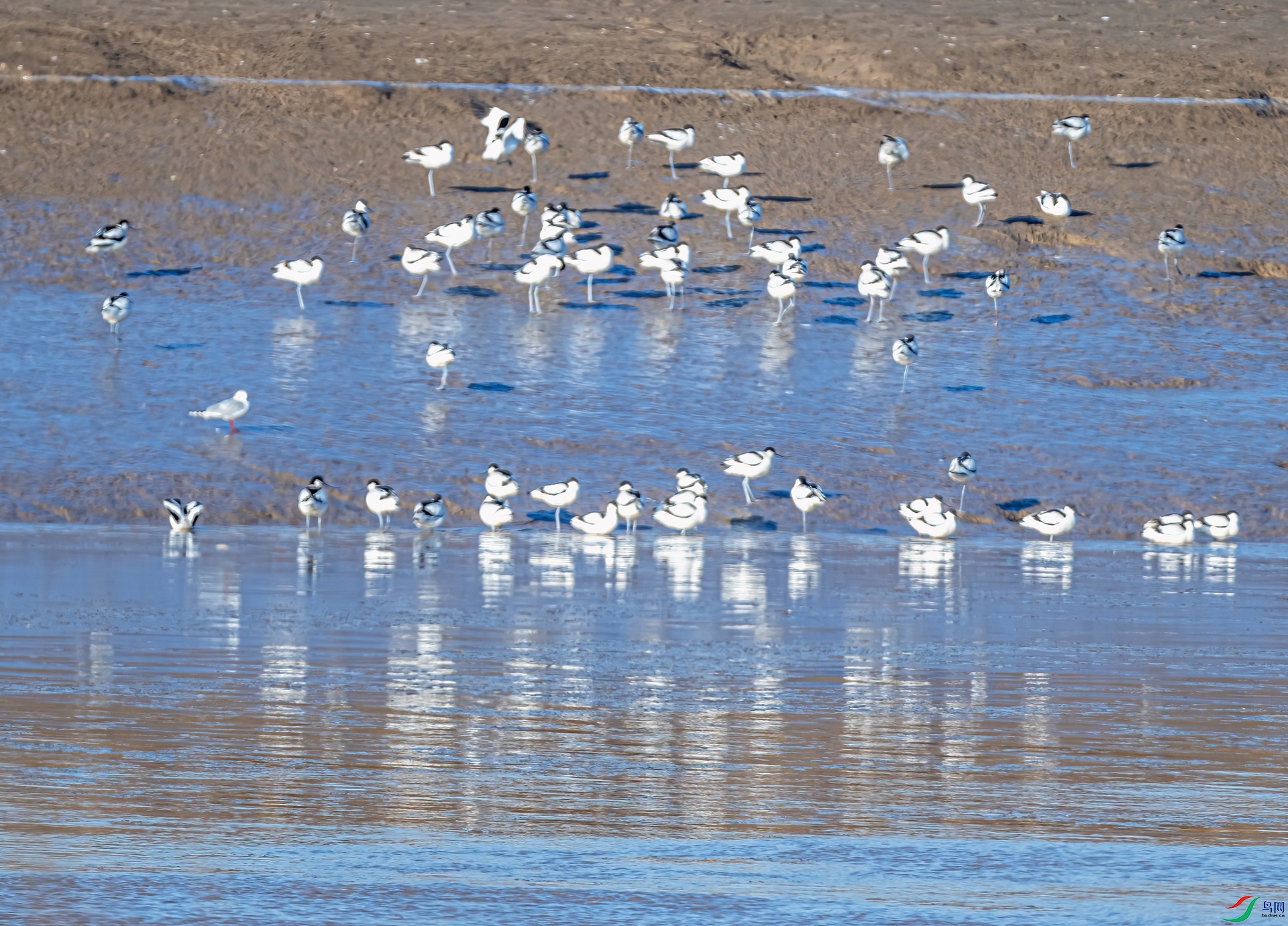 DSC_3220-11.jpg