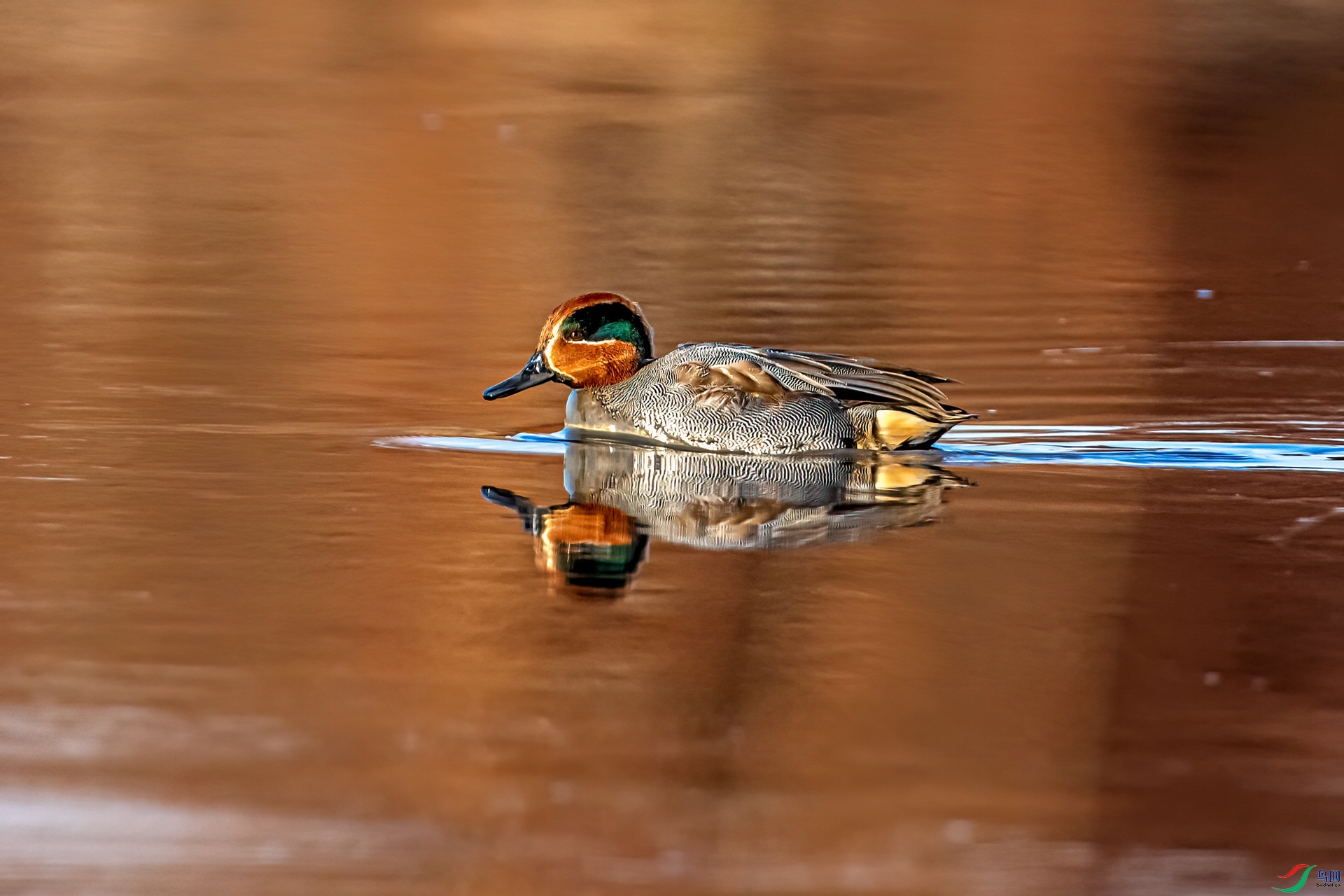 DSC_6984-1.jpg