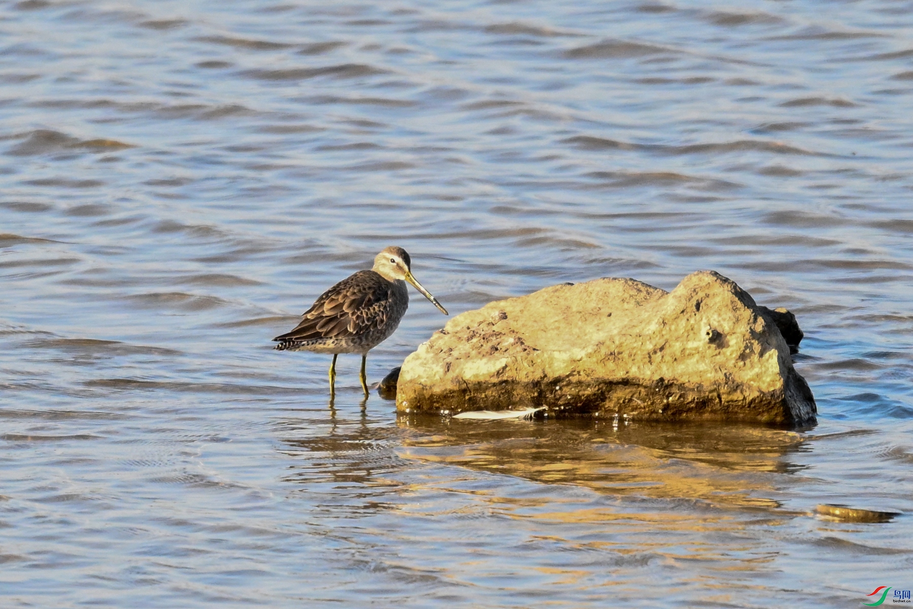 DSC_8478.JPG