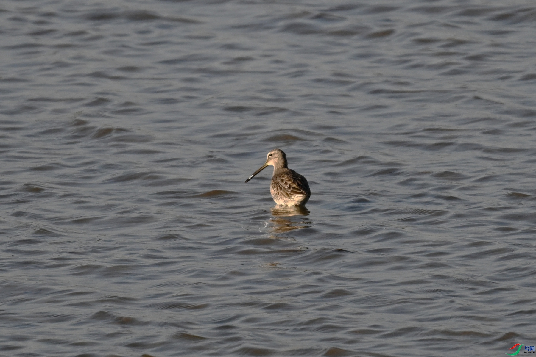 DSC_8539.JPG