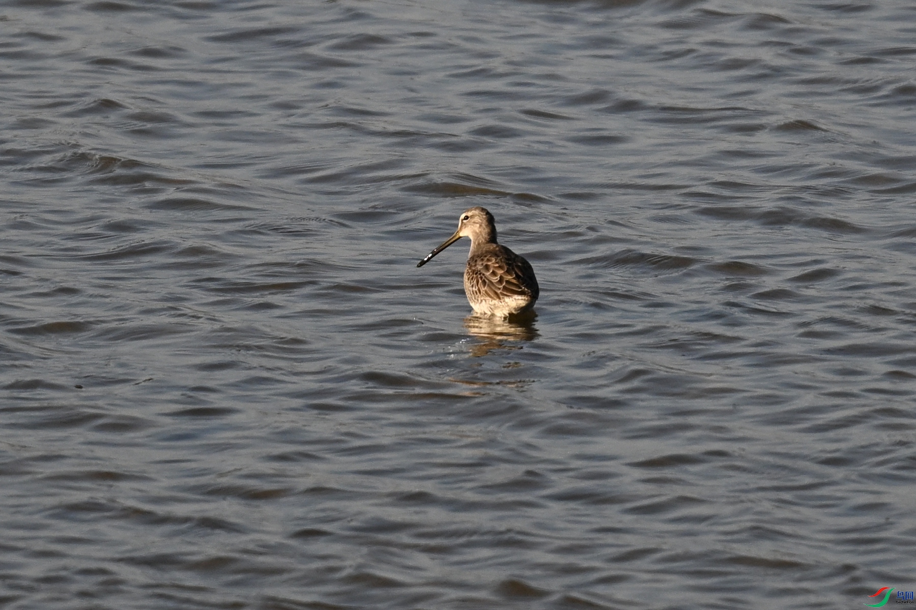 DSC_8541.JPG