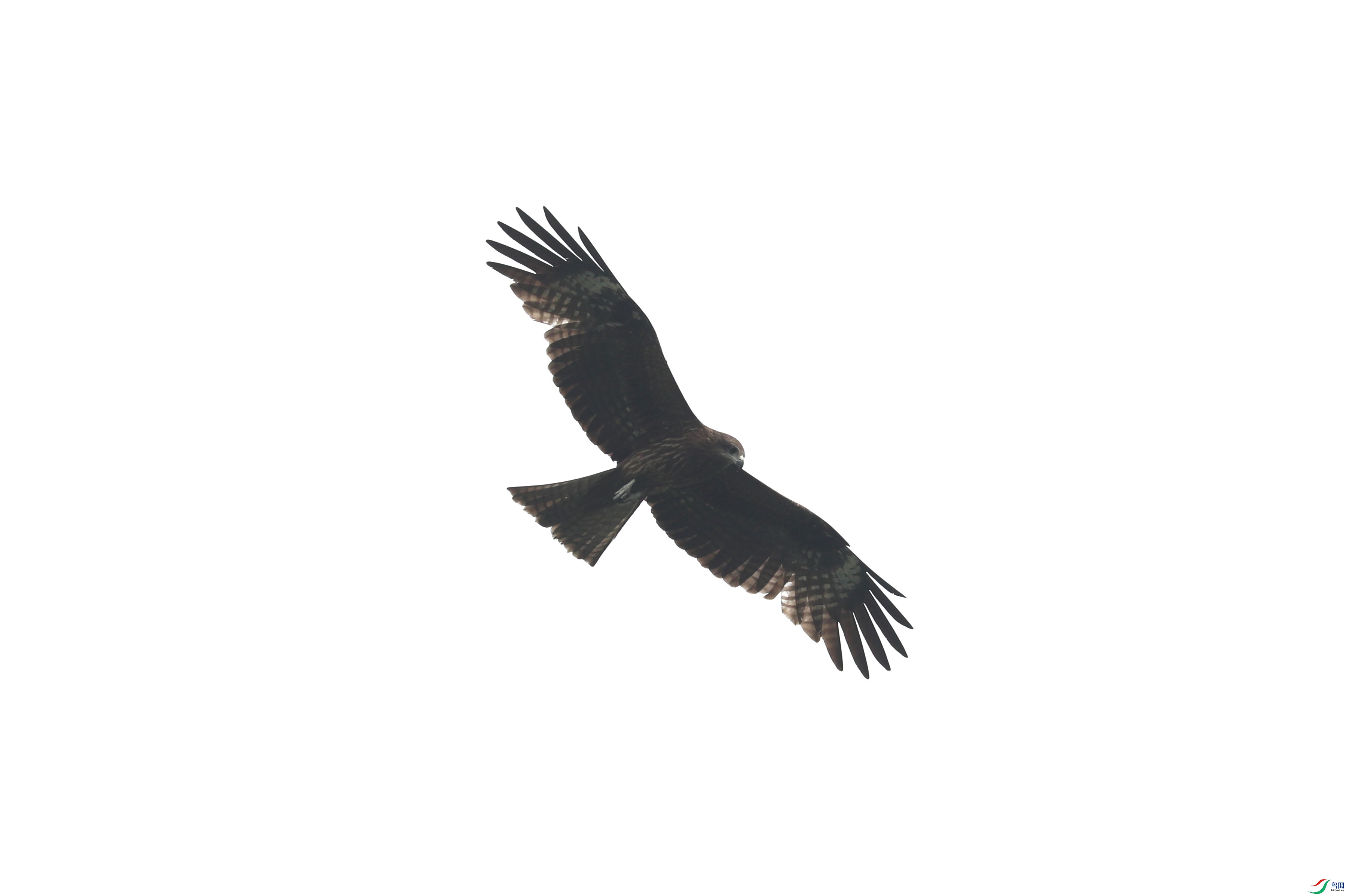 BL7A5304.JPG