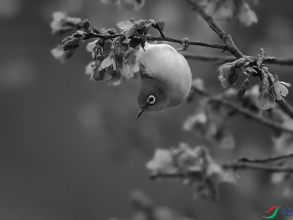 DSC_3043.JPG