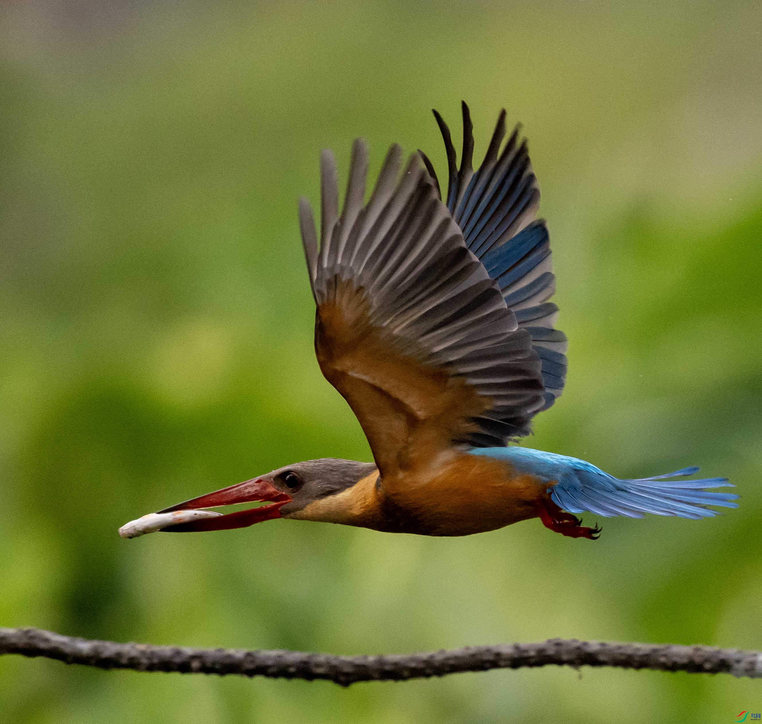 1-xt4L2A2826 ����.jpg