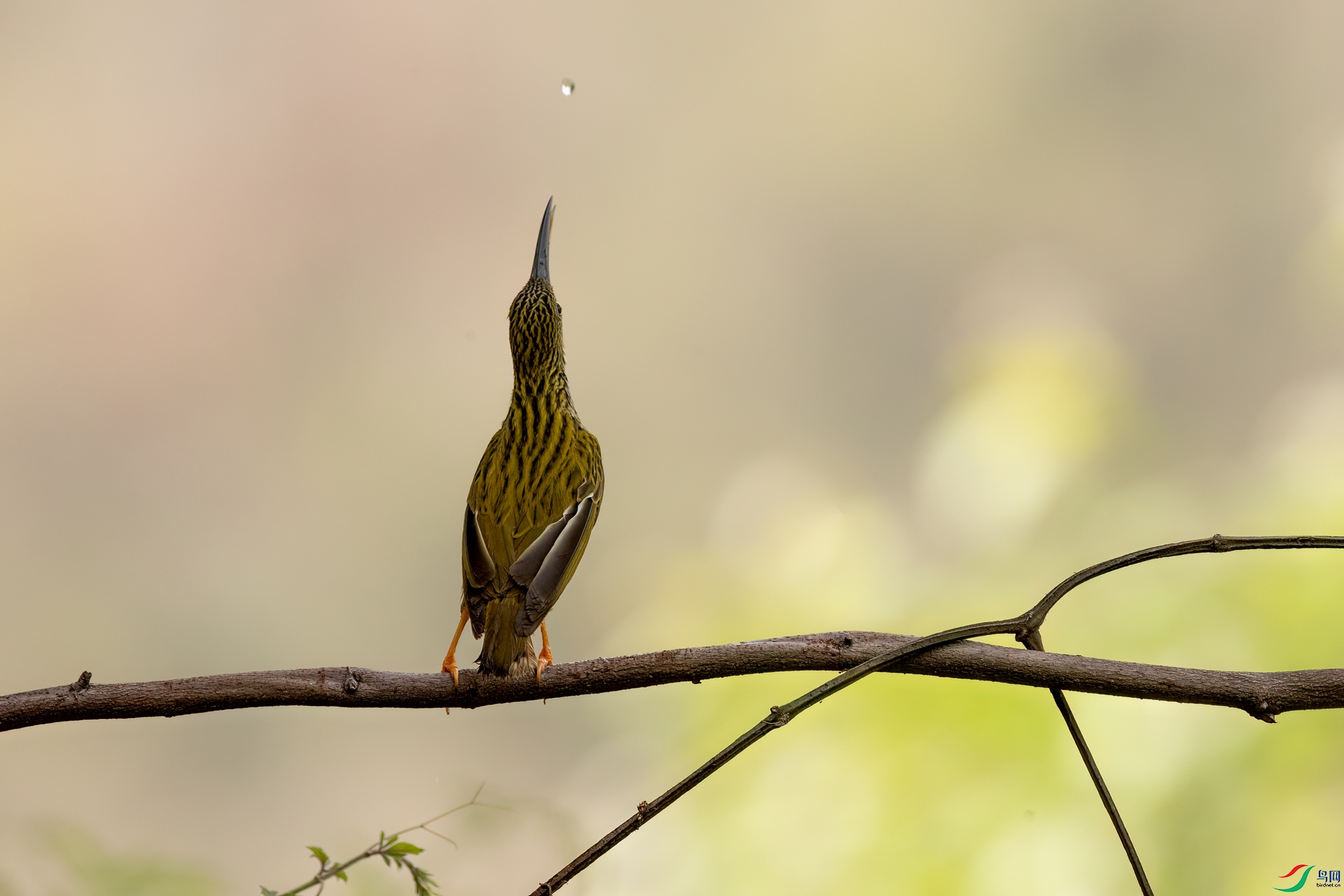 B86I0320 _����.jpg