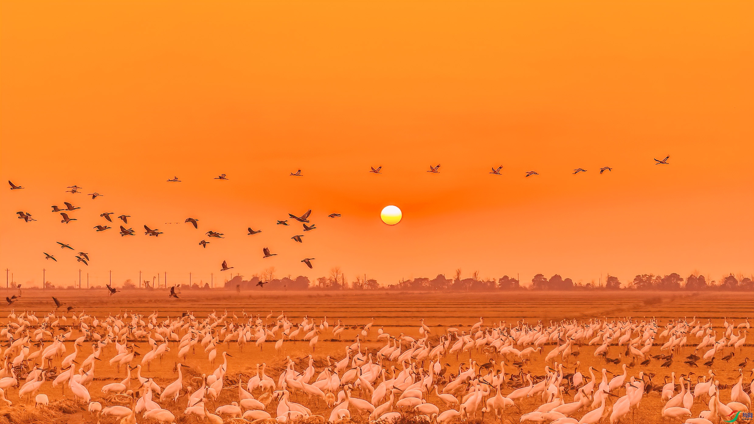 DSC_3992 ����.jpg