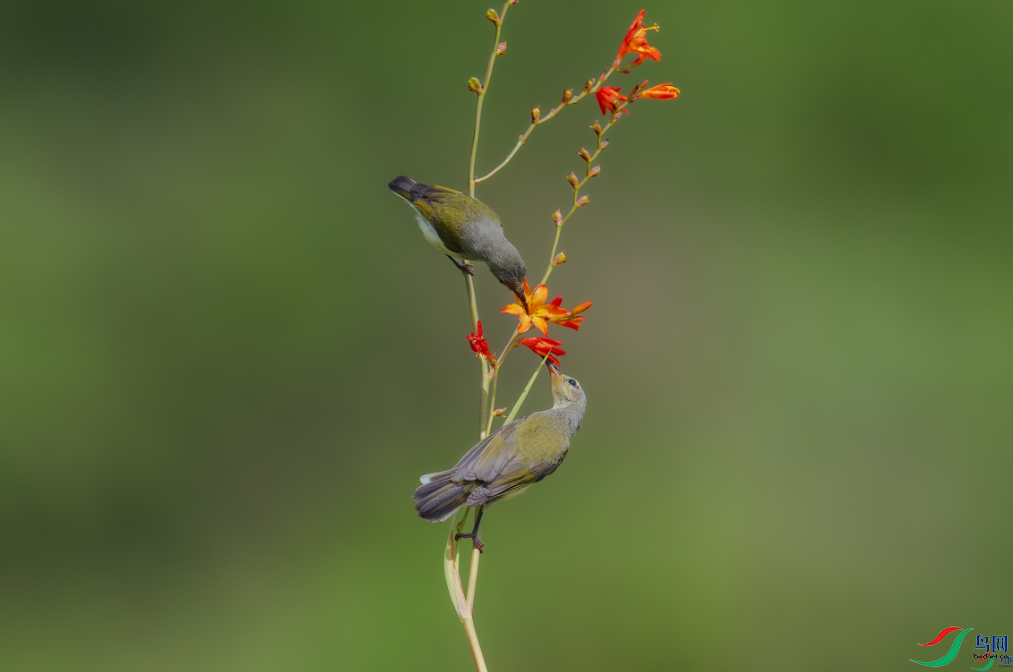 �����������ٻ����Ѿ�������ɽ���� 23.png