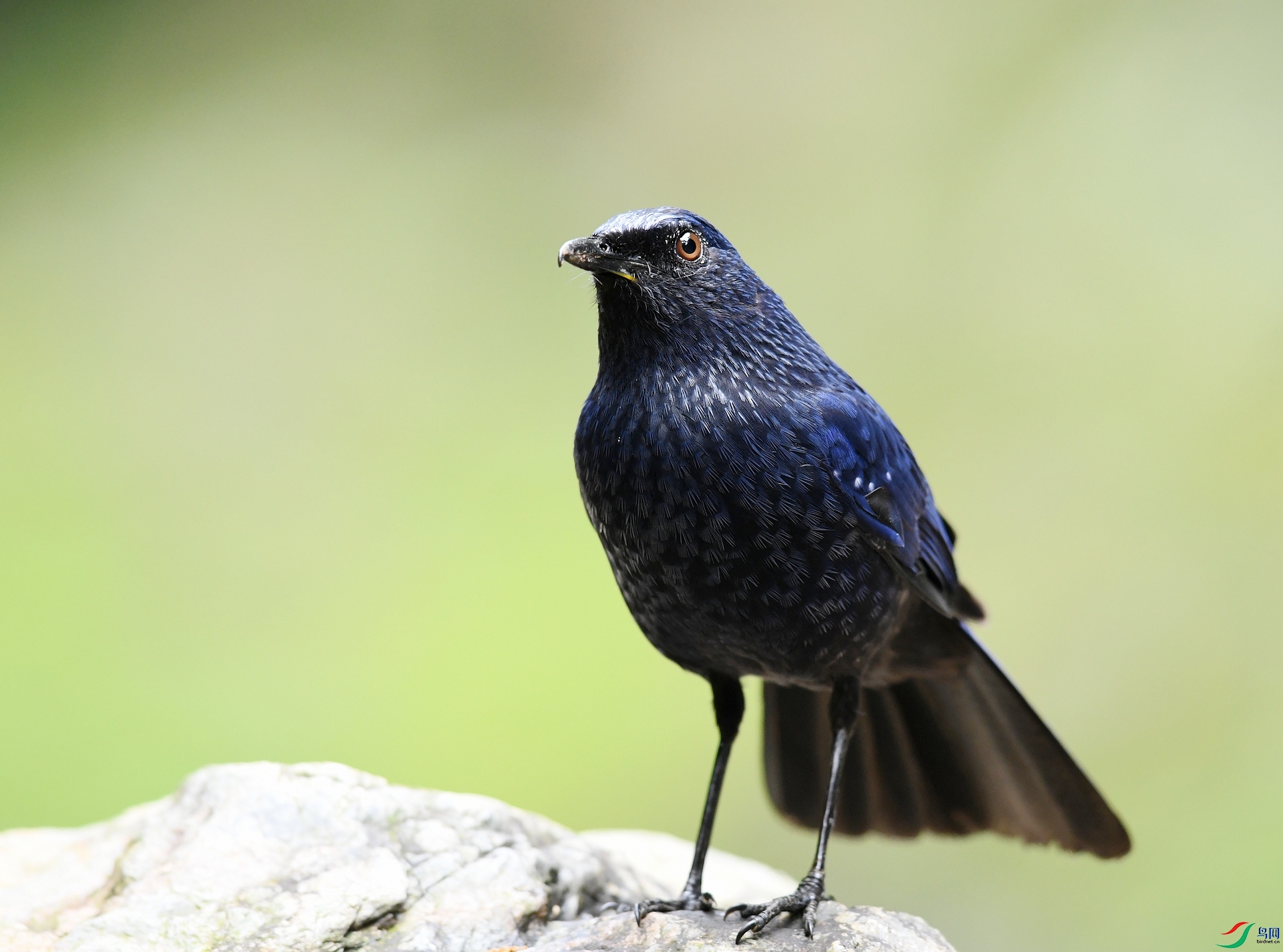 DSC_4346.jpg