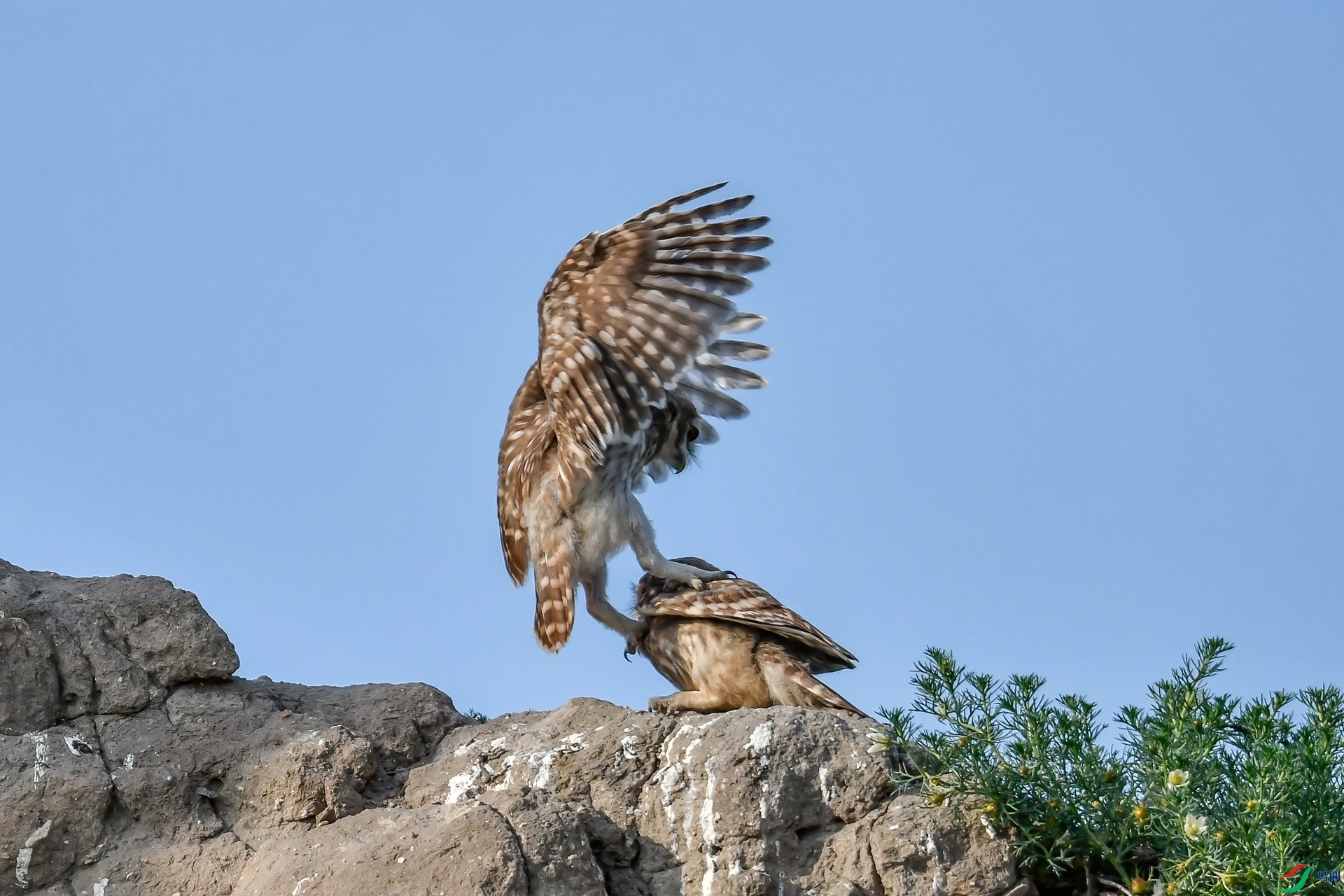 _DSC4215_����.jpg