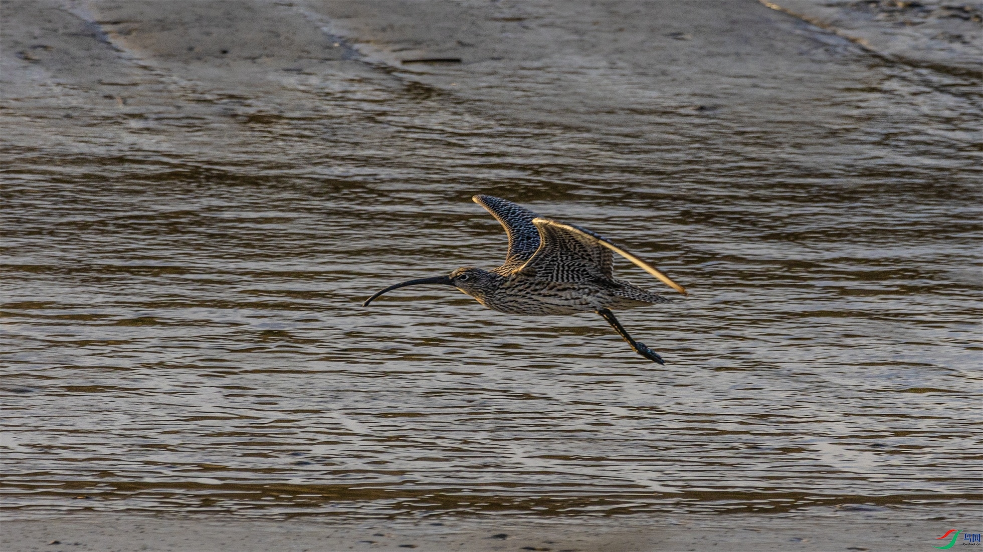 1K3A9081 ����1.jpg