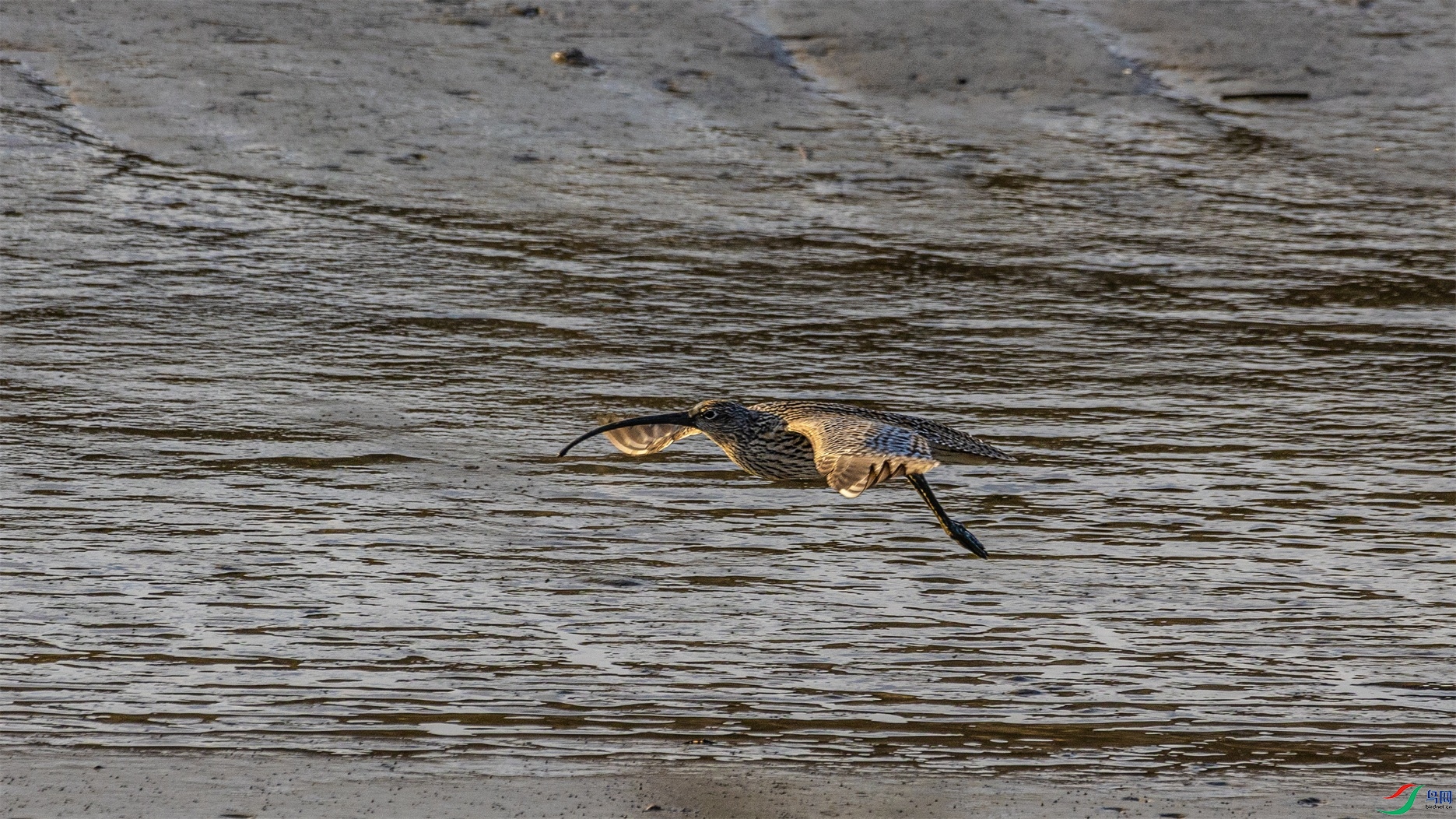 1K3A9083 ����1.jpg