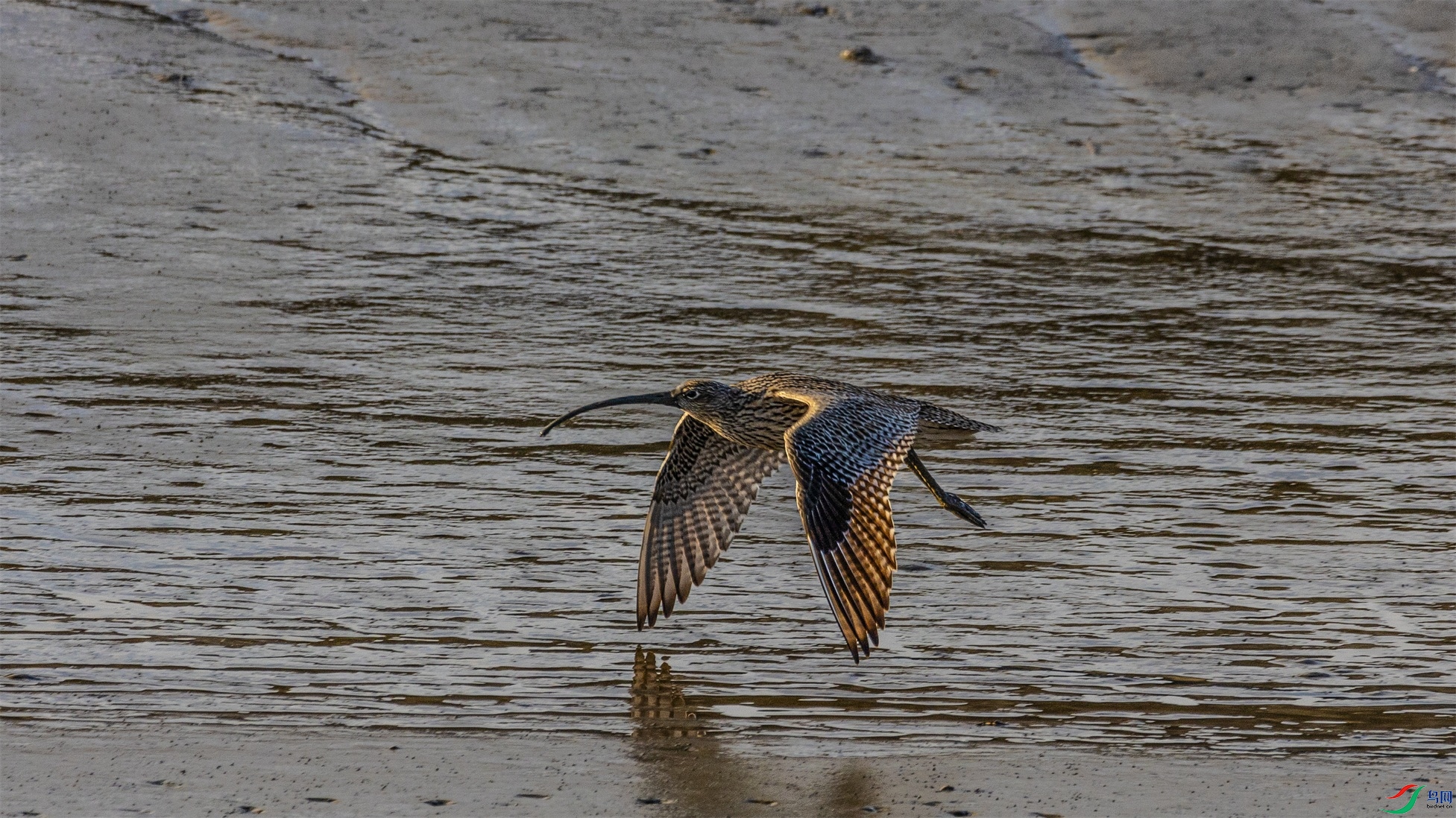 1K3A9084 ����1.jpg