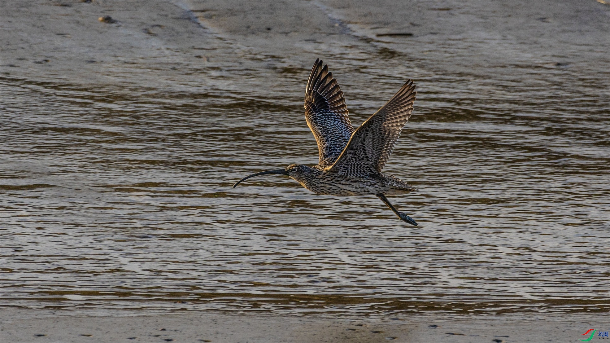 1K3A9082 ����1.jpg