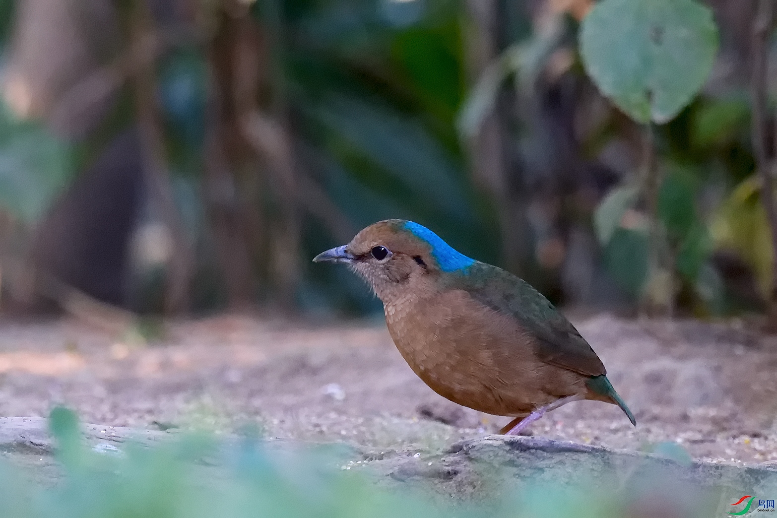 DSC_5349_DxOa.jpg