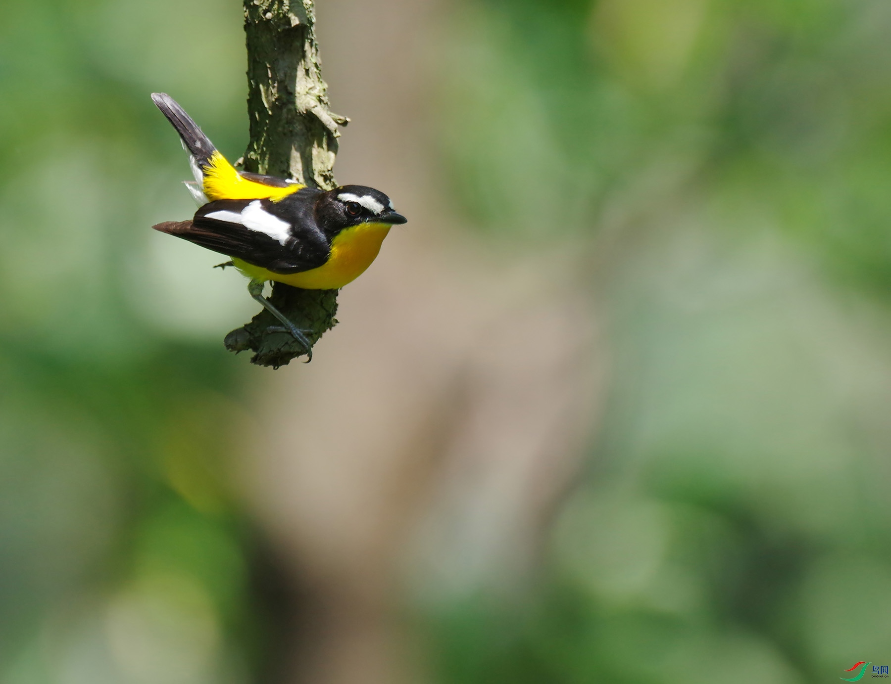 IMGP8509_���˺�jpg.jpg