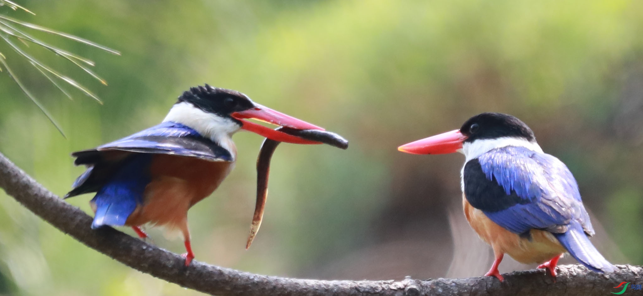 VCG211500140416 (1).jpg