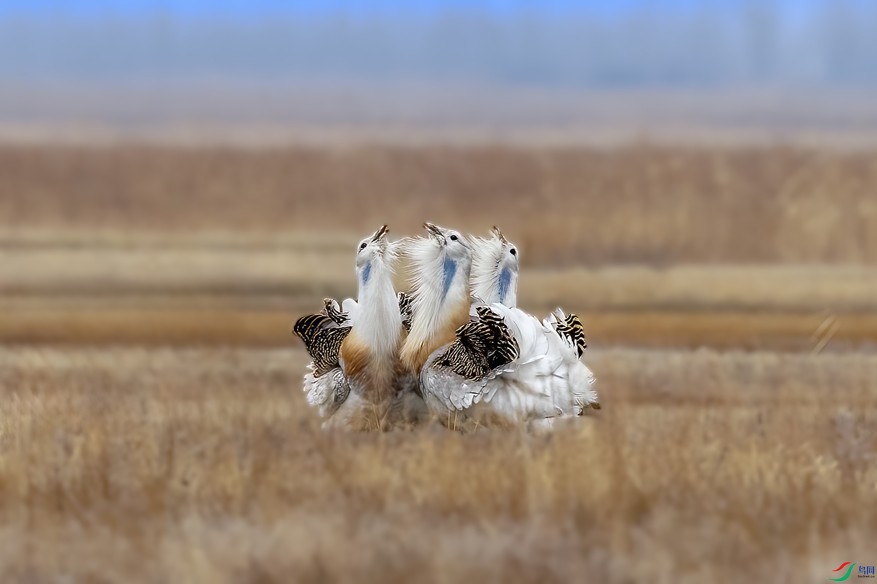 488A7994 ����.jpg