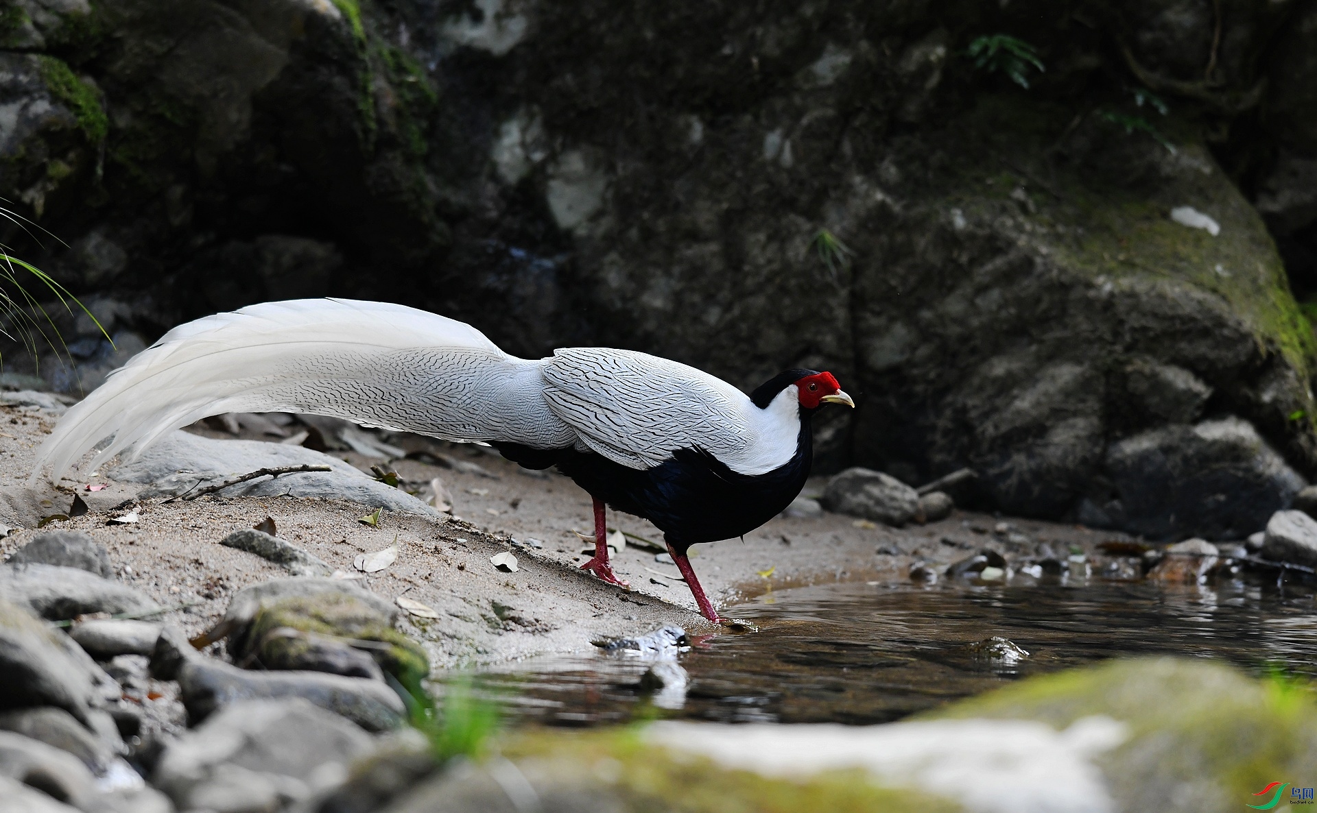 DSC_6803.jpg