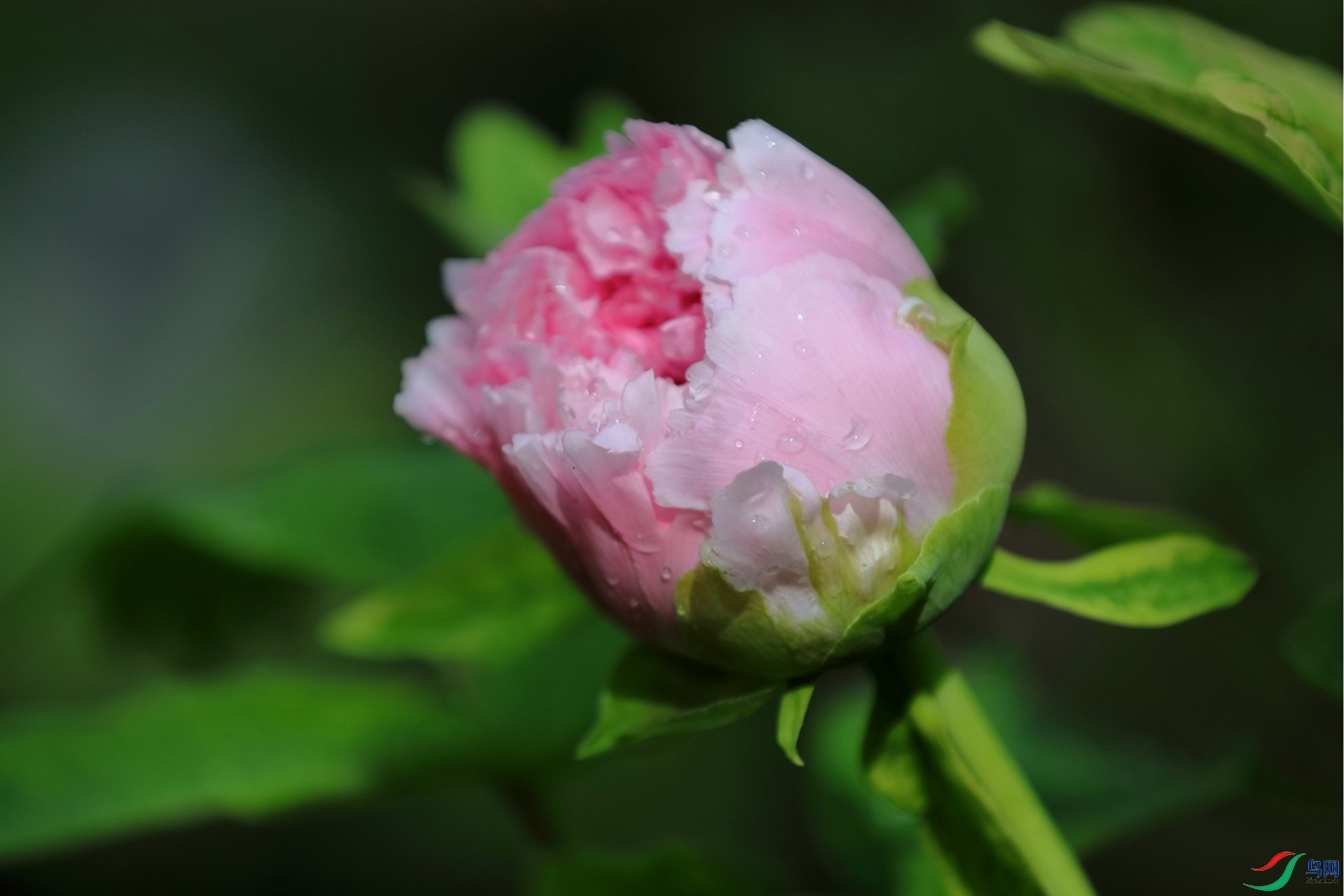 3X7A6548.JPG