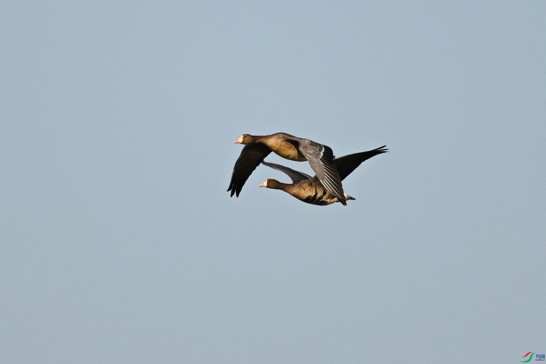 DSC_8446.JPG