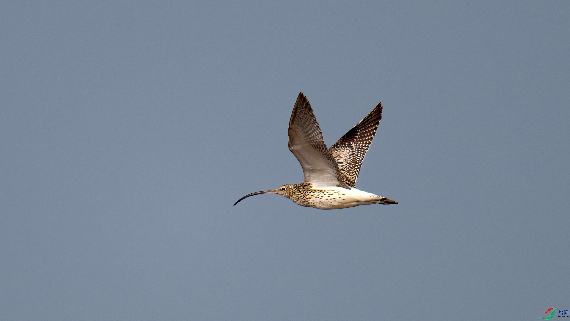 _DSC6066-1x.jpg