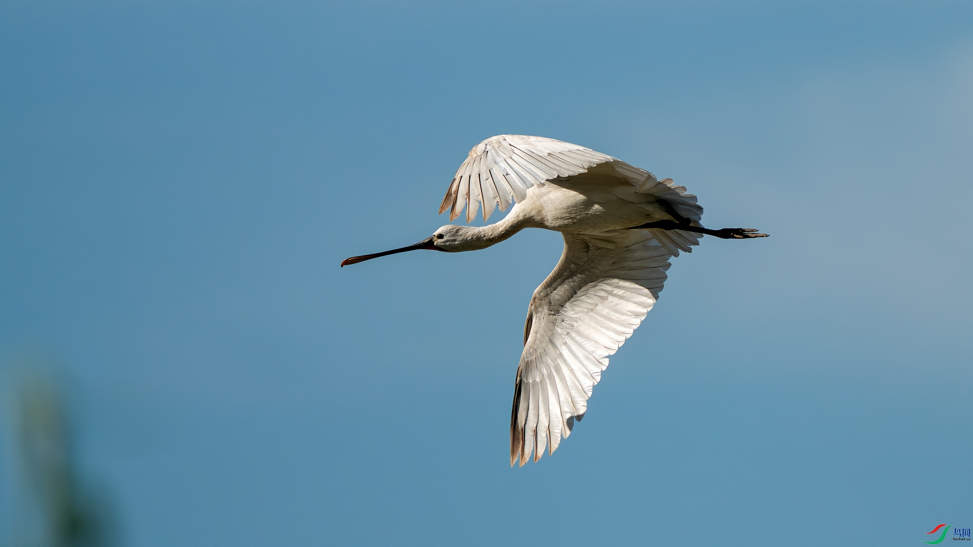 DSC06244.jpg