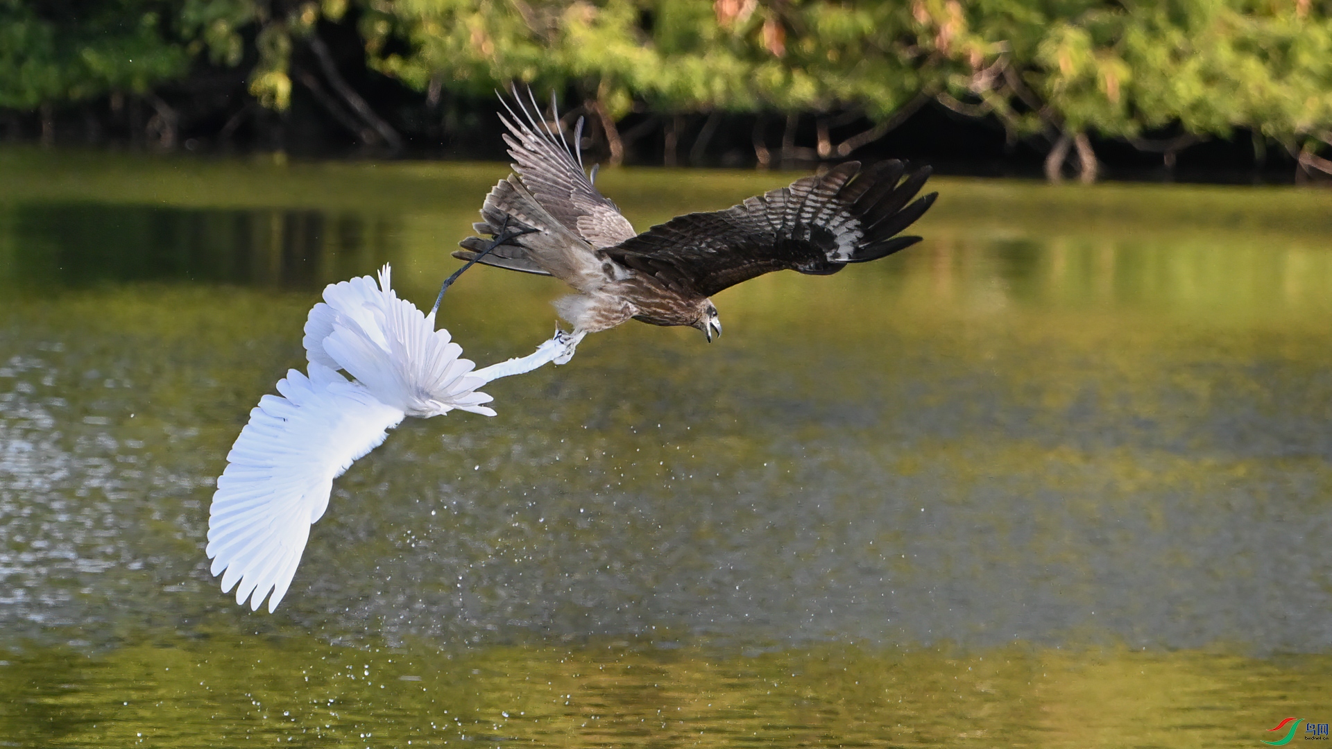 DSC_2050sen2025-2-8-148sen2025-2-9-52-�༭-2.jpg