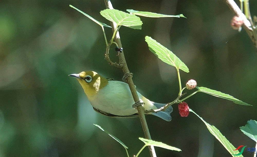 DSC09254_����.jpg