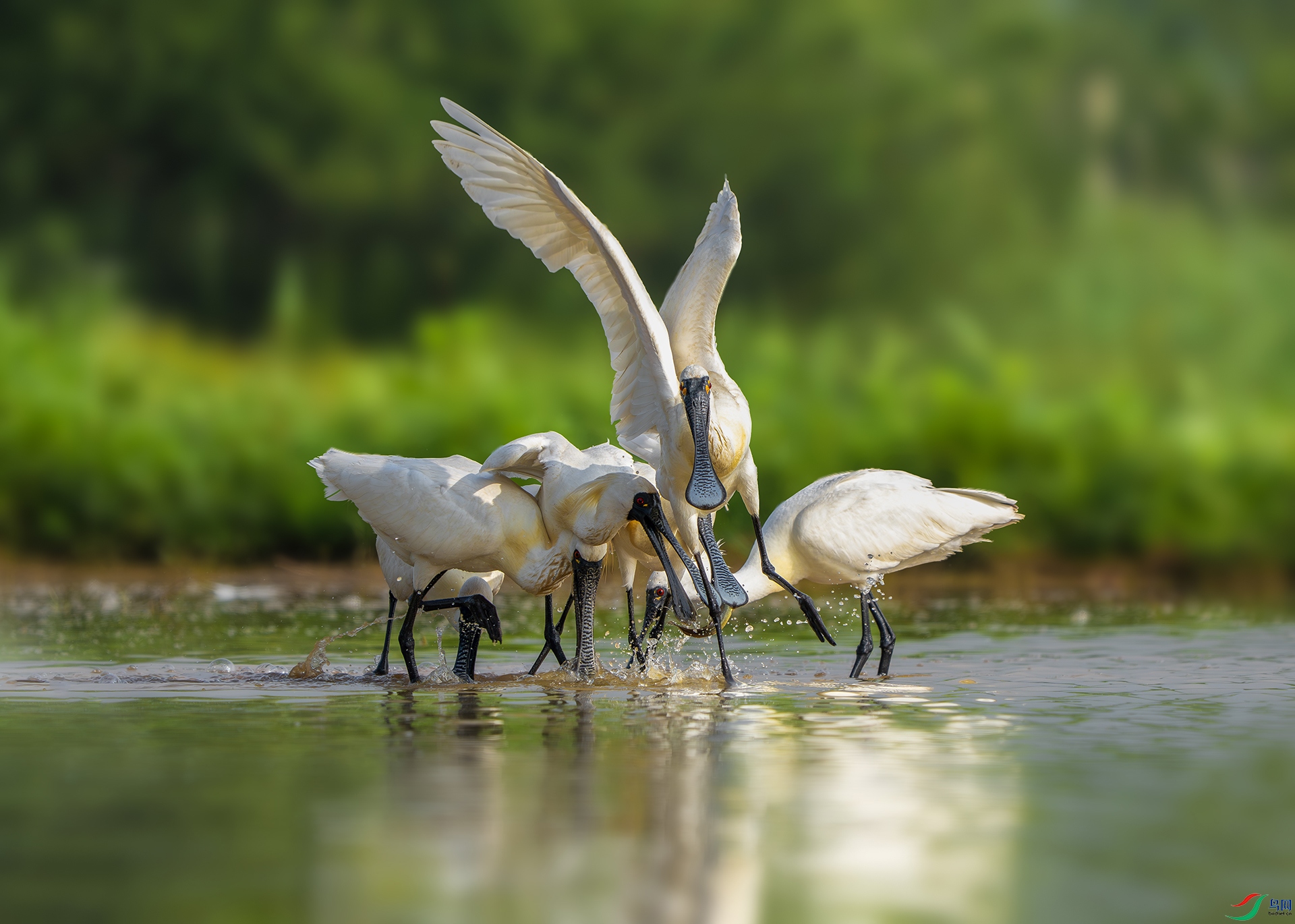 DSC00103-����ǿ-NR ���� 2.jpg