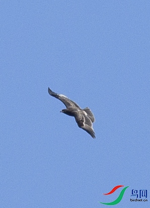 CS3U8861.jpg