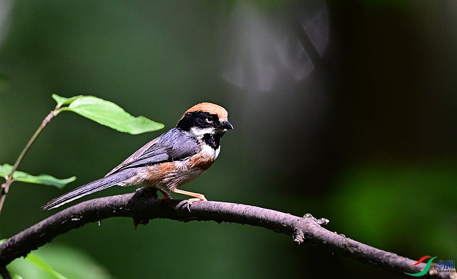 DSC_5942.JPG