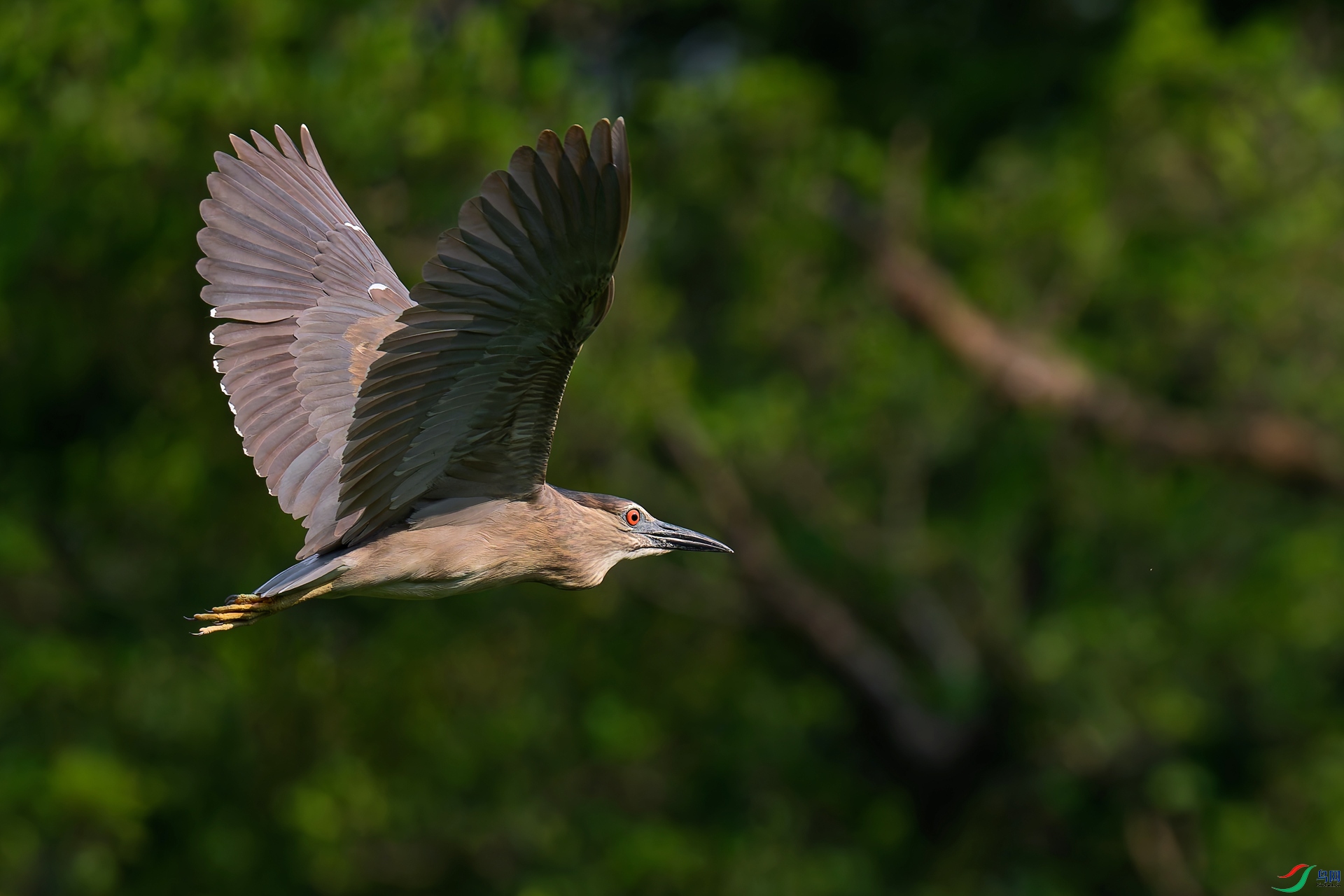 03