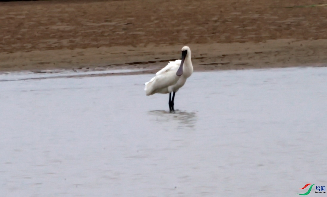 DSC_5254z_������С.jpg