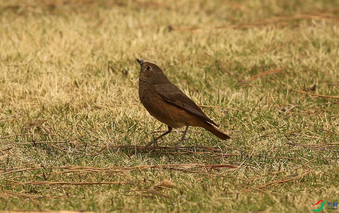 D89P4964.JPG