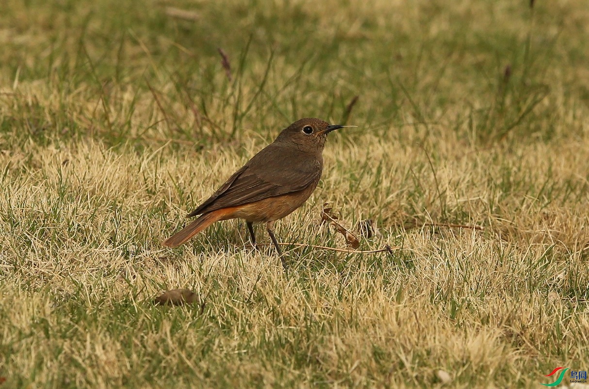 D89P4979.JPG