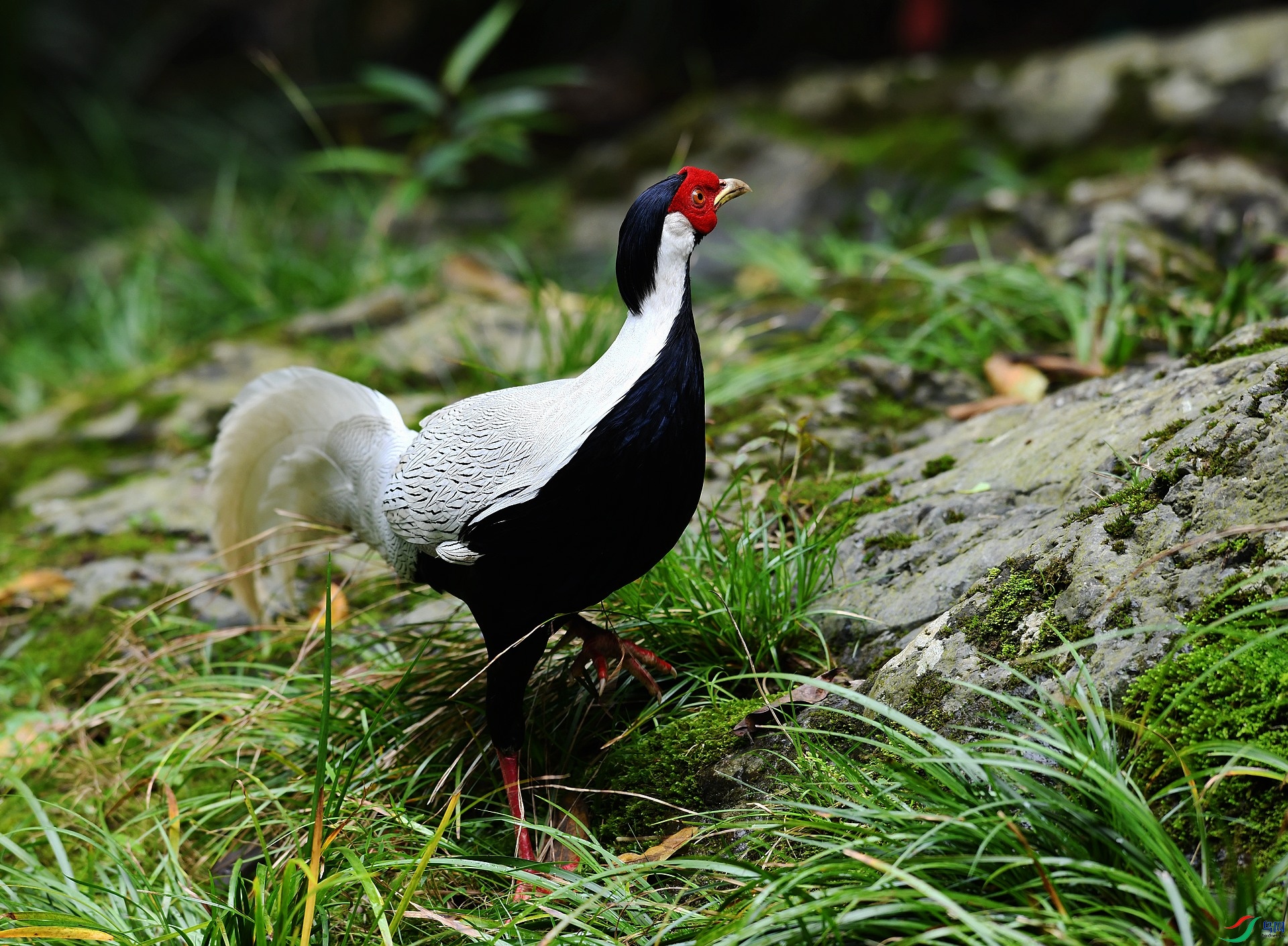 DSC_6025.jpg