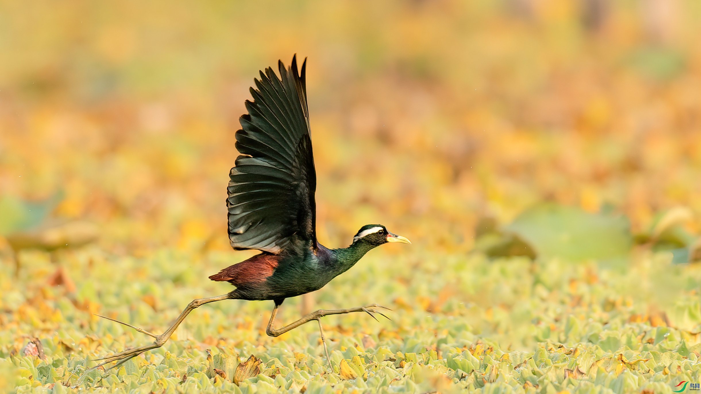 048A3365 ���� 2.jpg