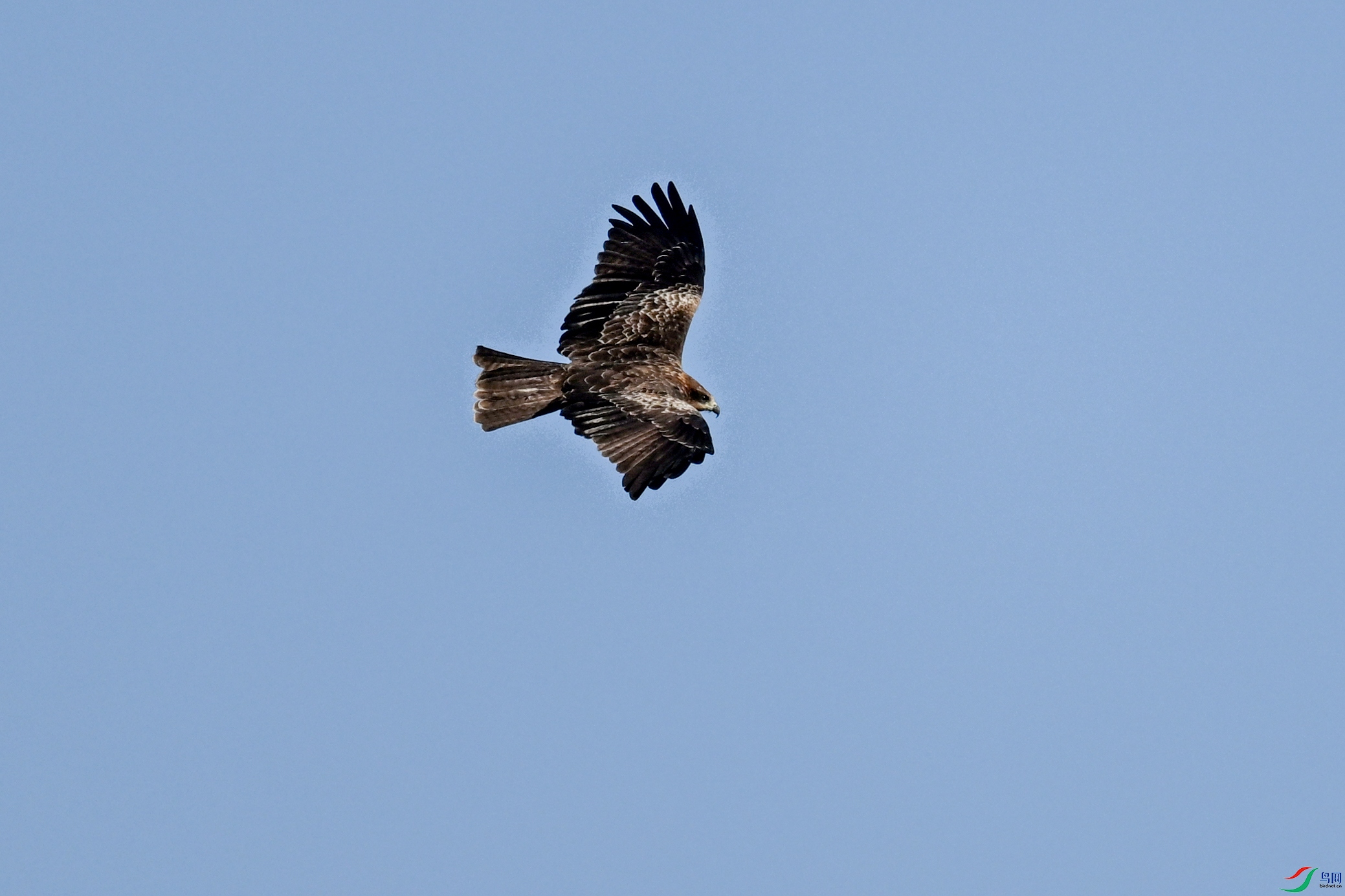 DSC_8496.JPG