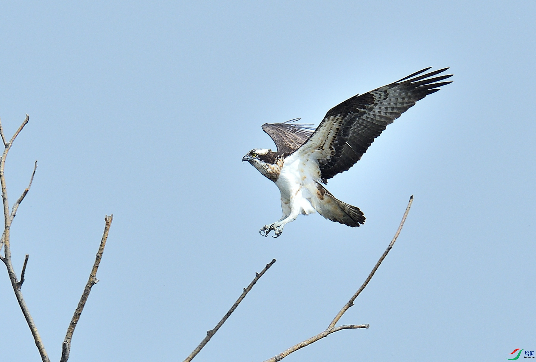 DSC_7197.JPG
