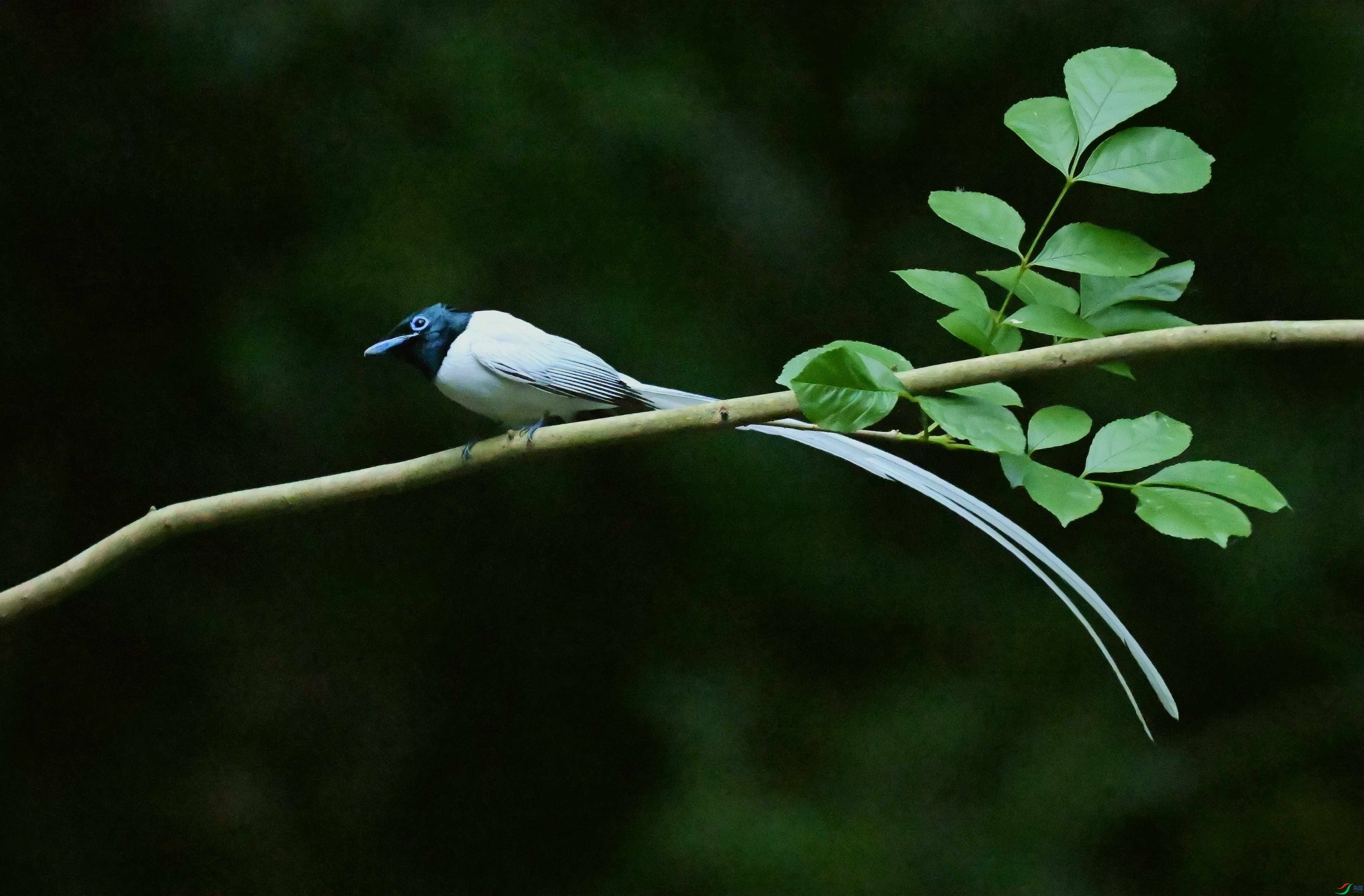 DSC_2144.jpg