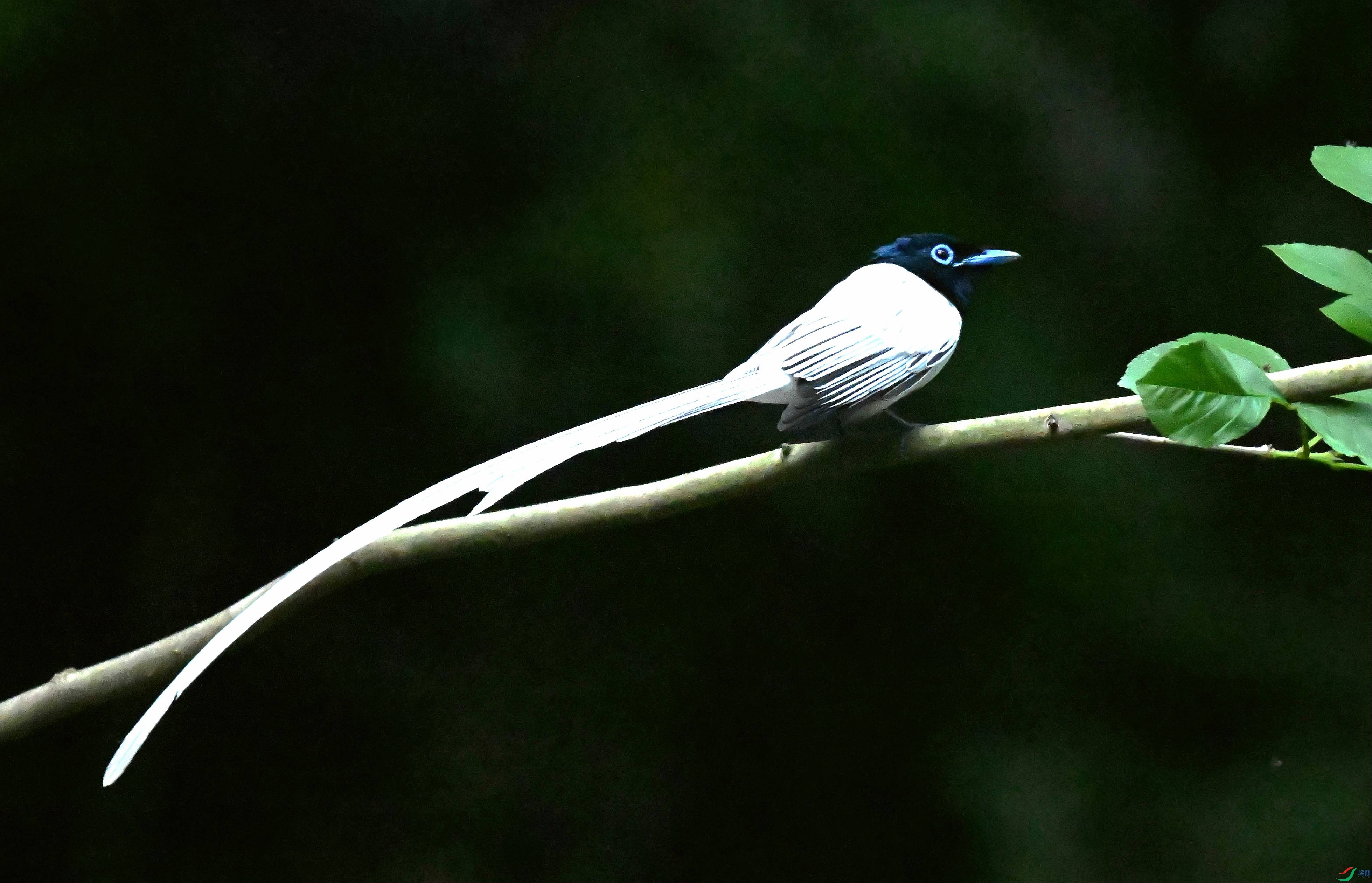 DSC_2164.jpg