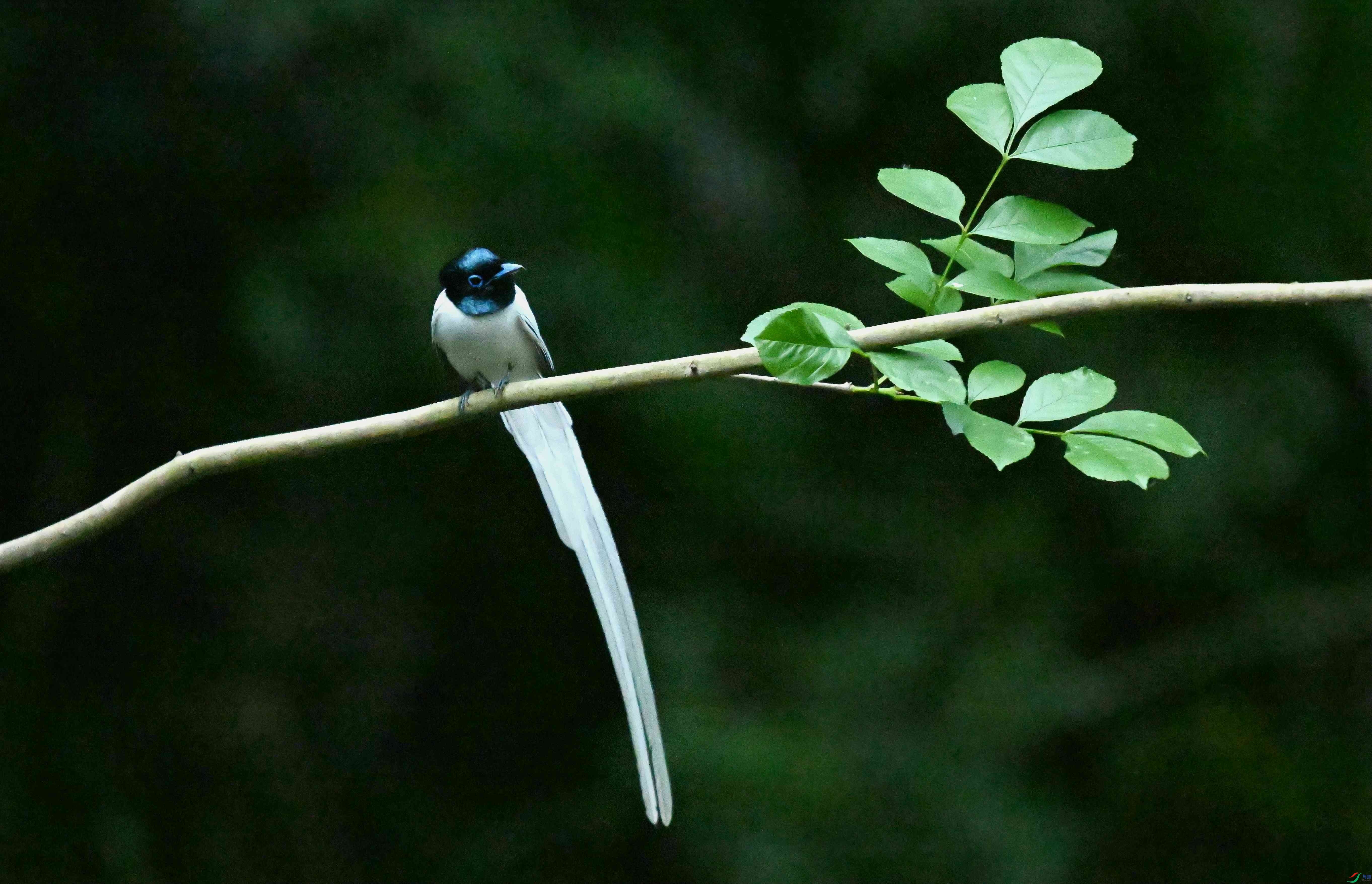 DSC_2150.jpg