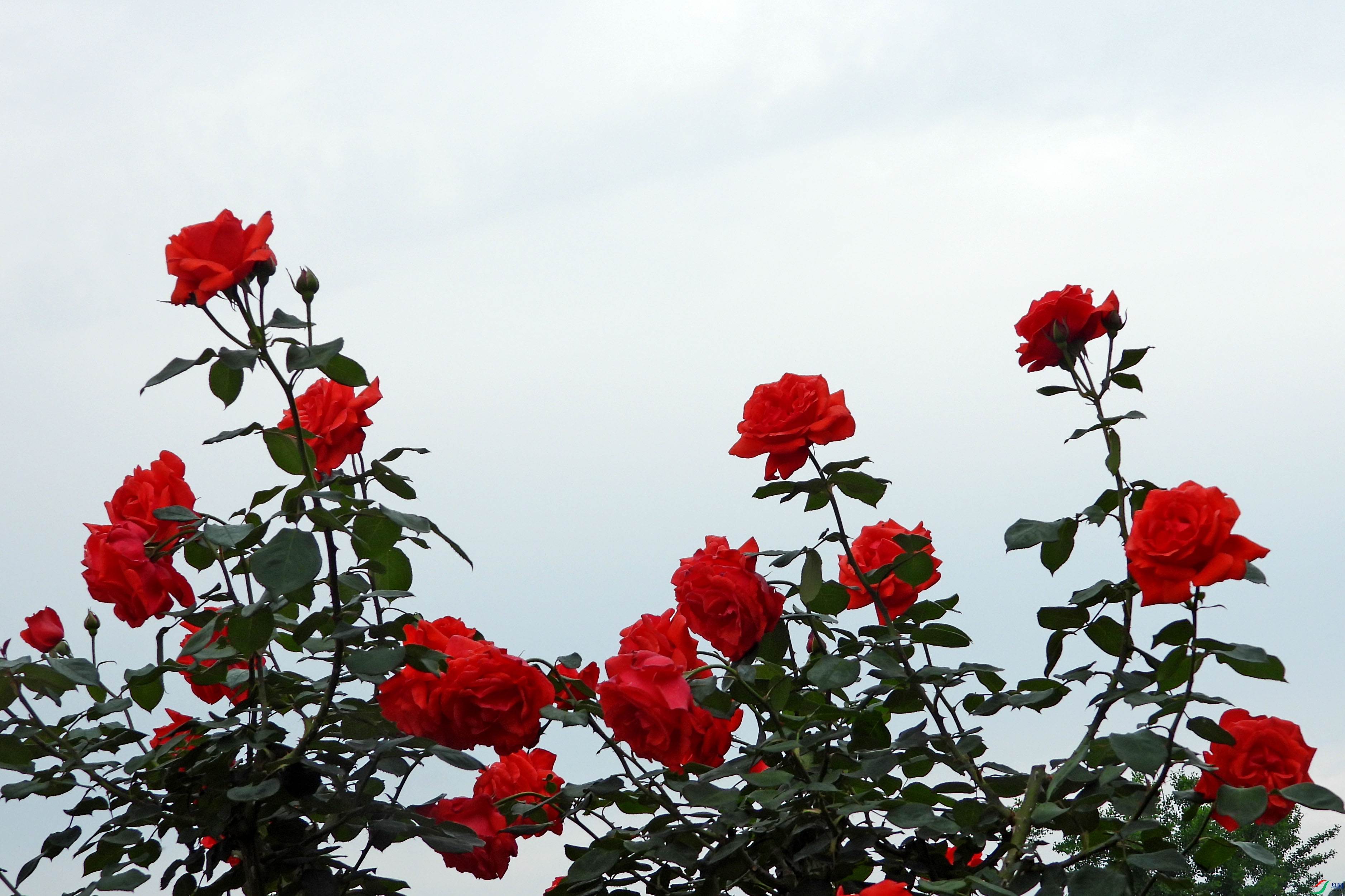 DSCN5656.JPG