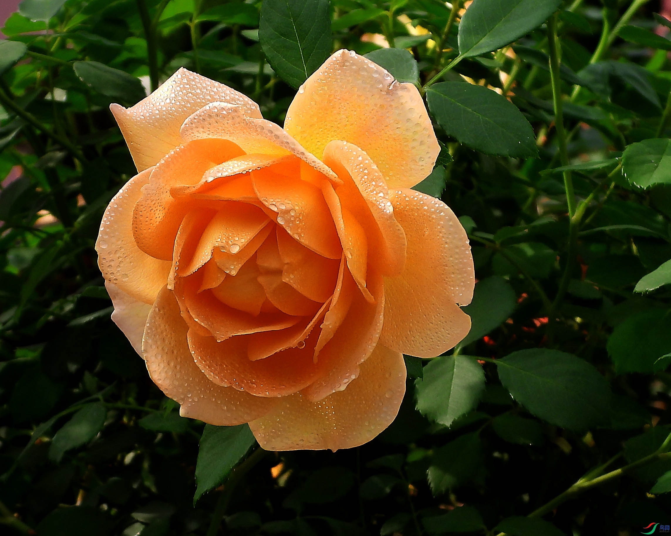 DSCN5689.JPG
