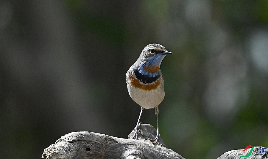 DSC_3793.JPG