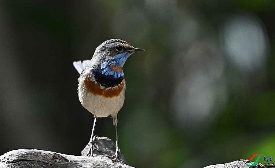 DSC_3818.JPG