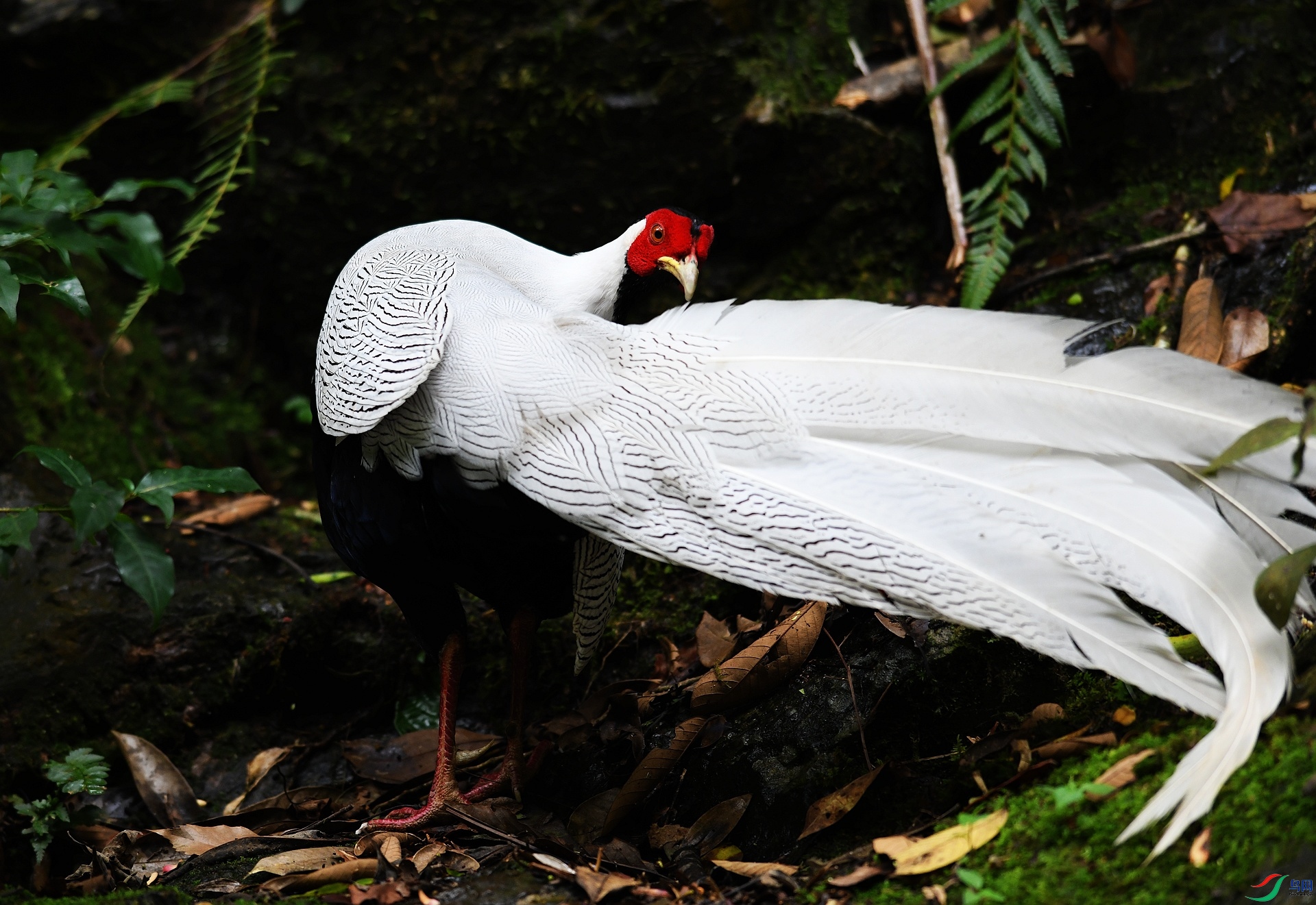 DSC_5966.jpg