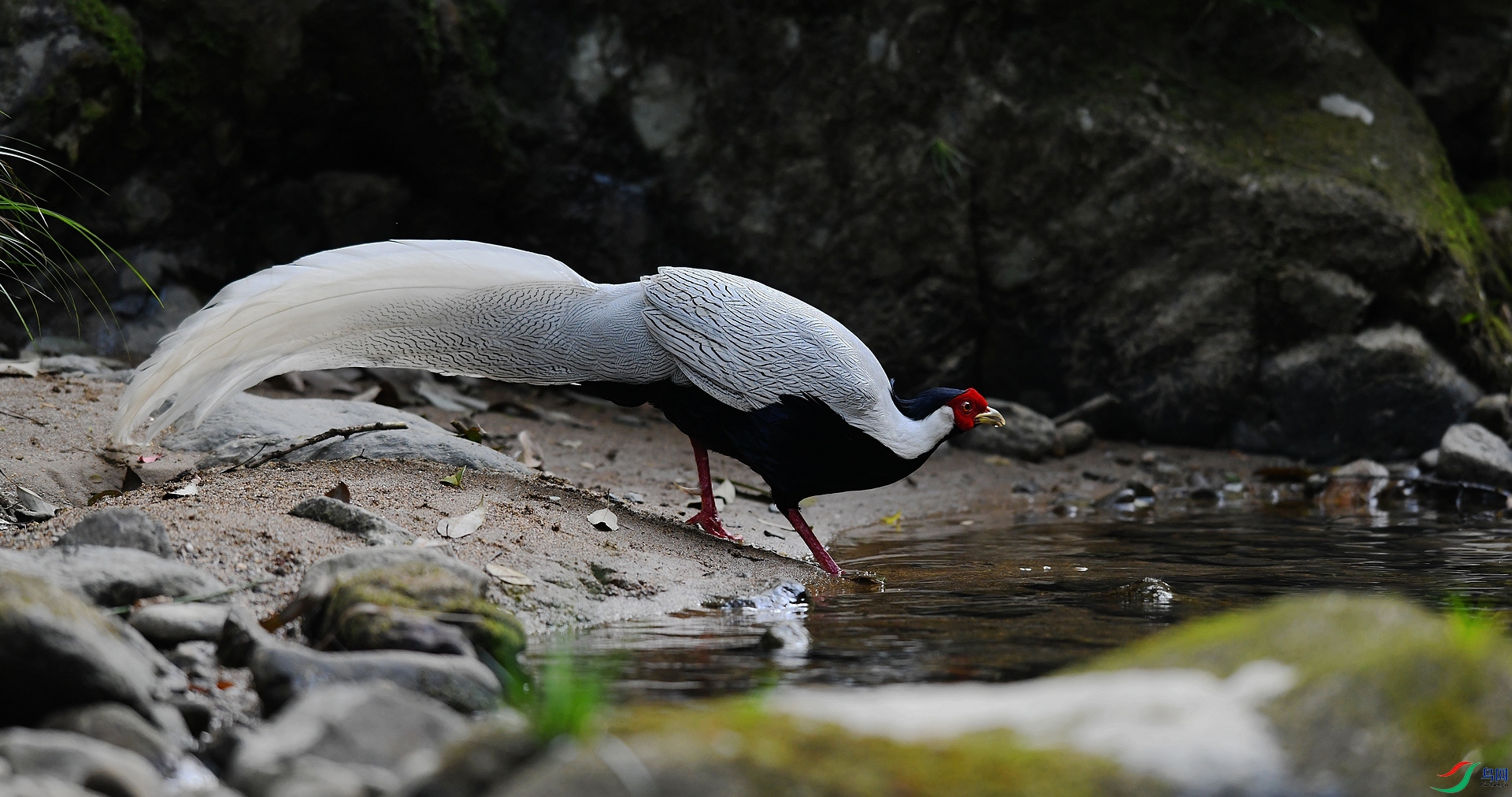 DSC_6807.jpg
